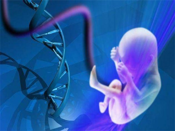 泰国医院做试管婴儿怎么样？泰国哪家医院做三代试管好